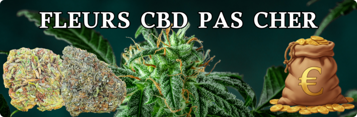 Fleur CBD pas cher